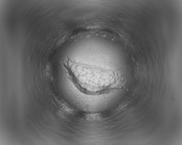 X0000051260281200507082225