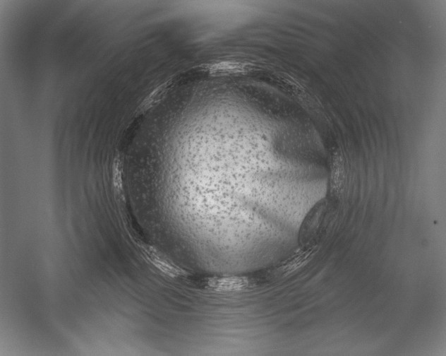 X0000051260282200507082225