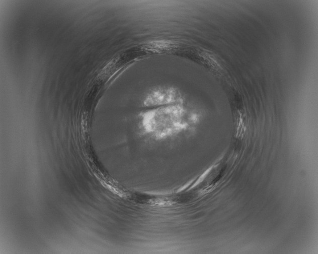 X0000051260284200507082225