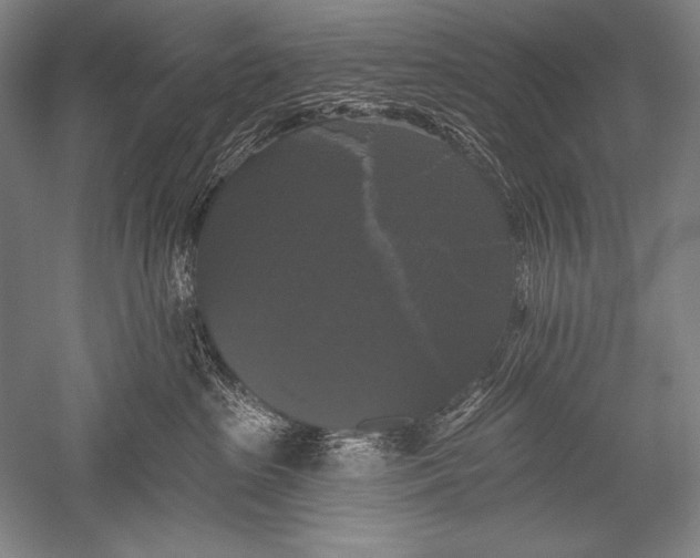 X0000051260285200507082225