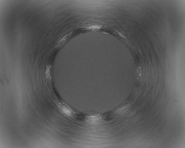 X0000051260286200507082225