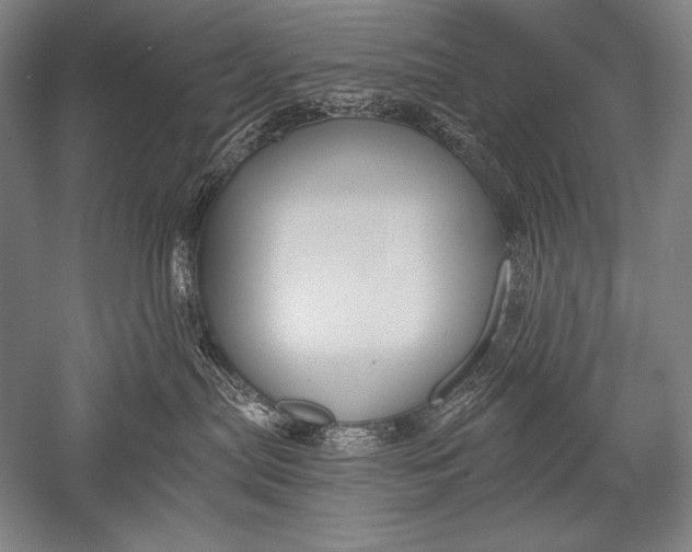 X0000051260287200507082225