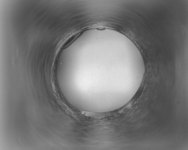 X0000051260289200507082224