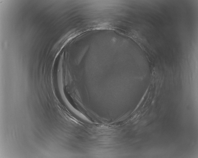 X0000051260290200507082224