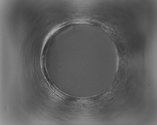X0000051260294200507082224