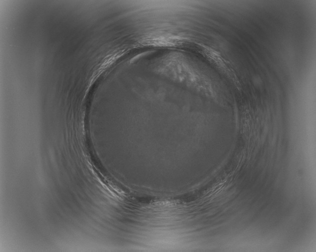 X0000051260299200507082224