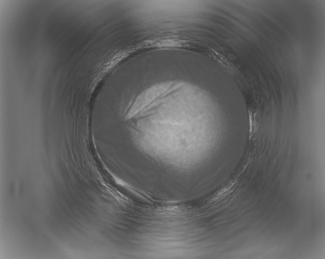 X0000051260301200507082224