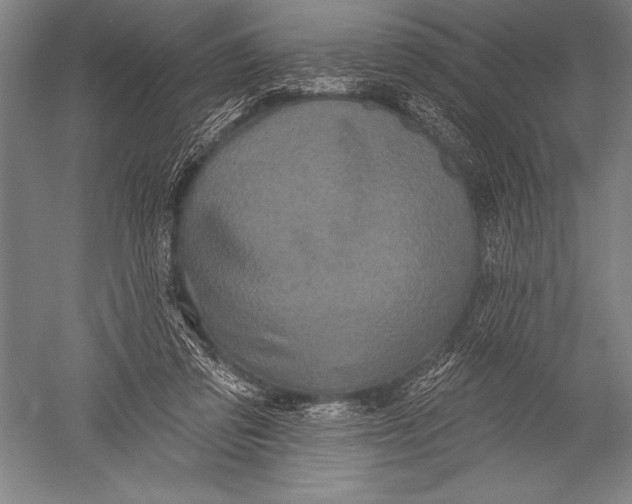 X0000051260309200507082224