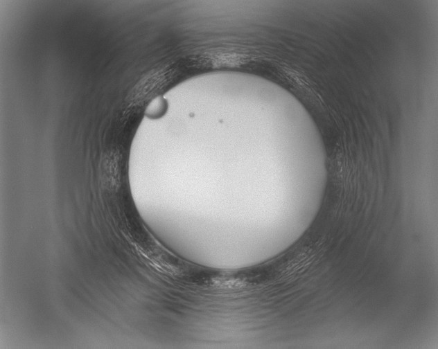 X0000051260311200507082224