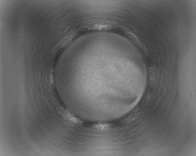 X0000051260313200507082224