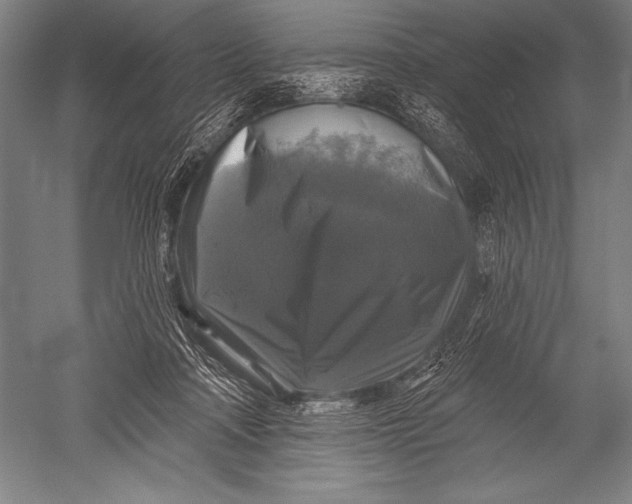 X0000051260314200507082224