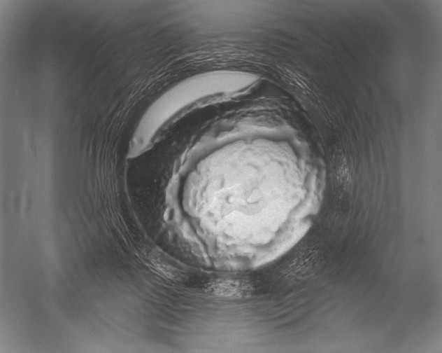 X0000051260315200507082224