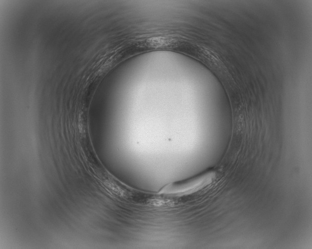 X0000051260317200507082224