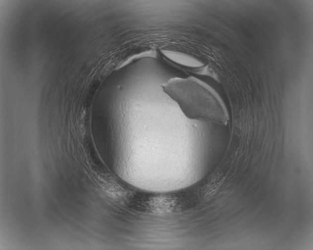 X0000051260319200507082224