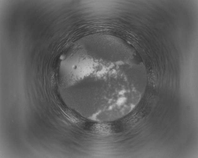 X0000051260327200507082223