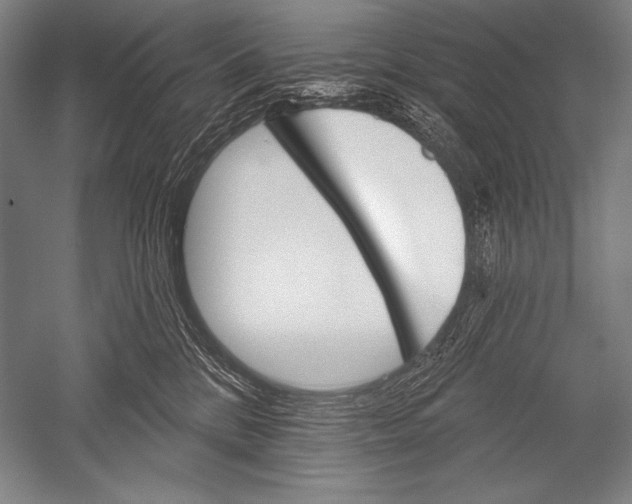 X0000051260328200507082223