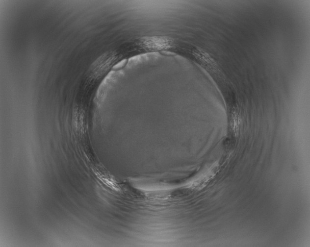 X0000051260330200507082223