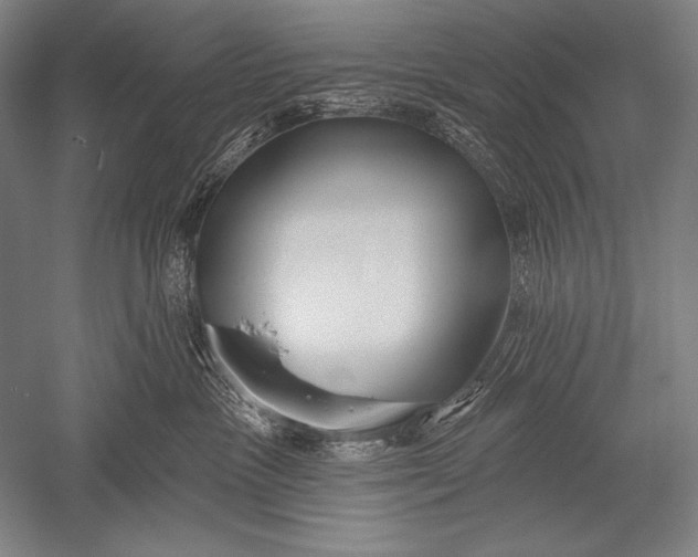 X0000051260333200507082223