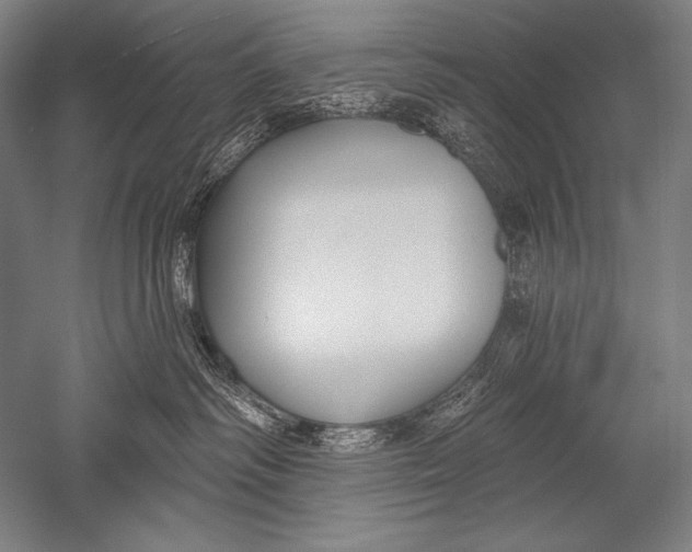 X0000051260334200507082223