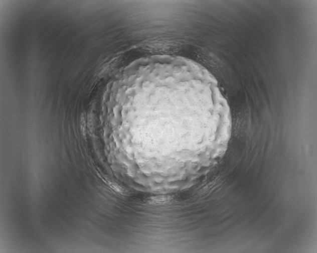 X0000051260335200507082223