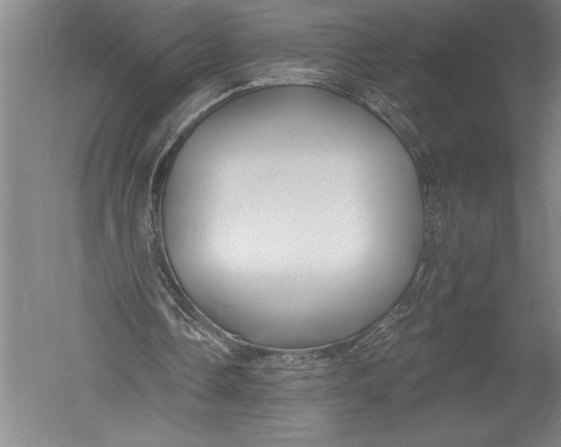 X0000051260338200507082223