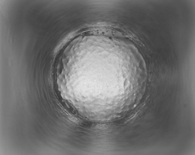 X0000051260341200507082223