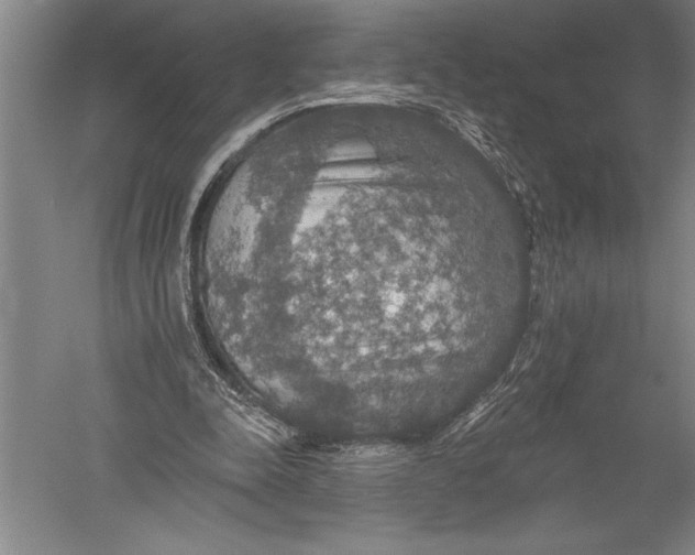 X0000051260342200507082223
