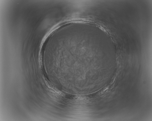 X0000051260343200507082223