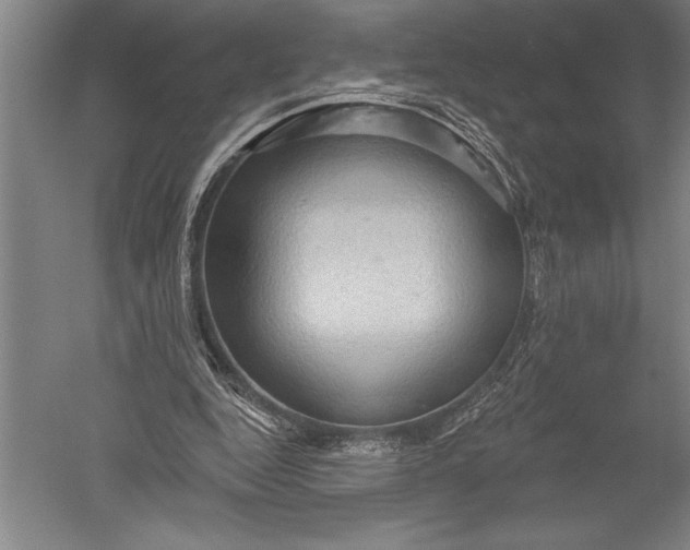 X0000051260344200507082223