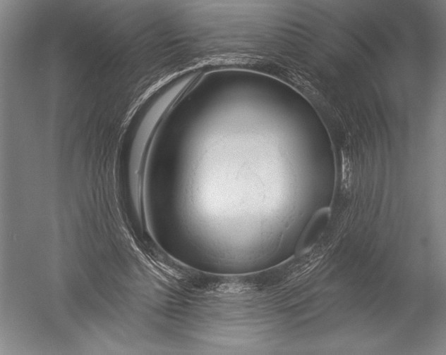X0000051260348200507082223