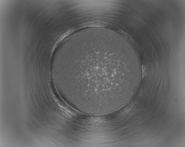 X0000051260349200507082223