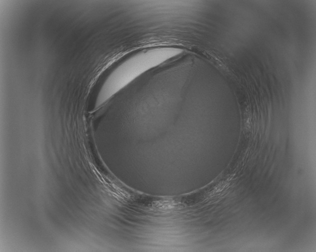 X0000051260351200507082223