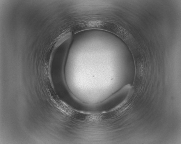 X0000051260356200507082223