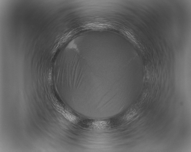 X0000051260357200507082223