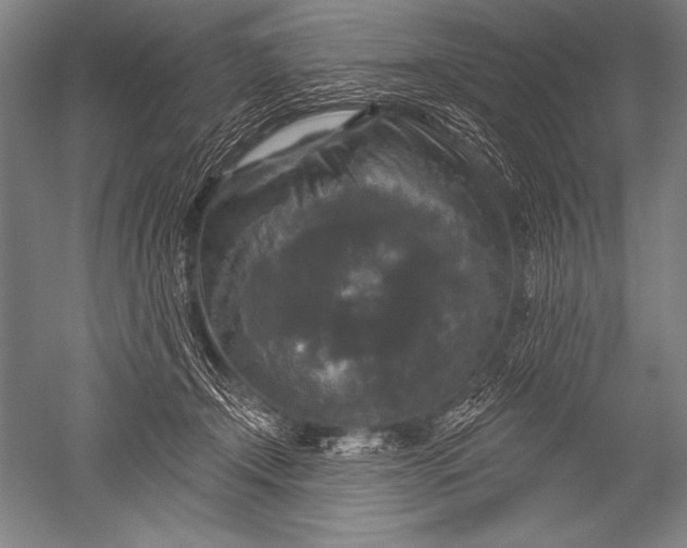 X0000051260366200507082223