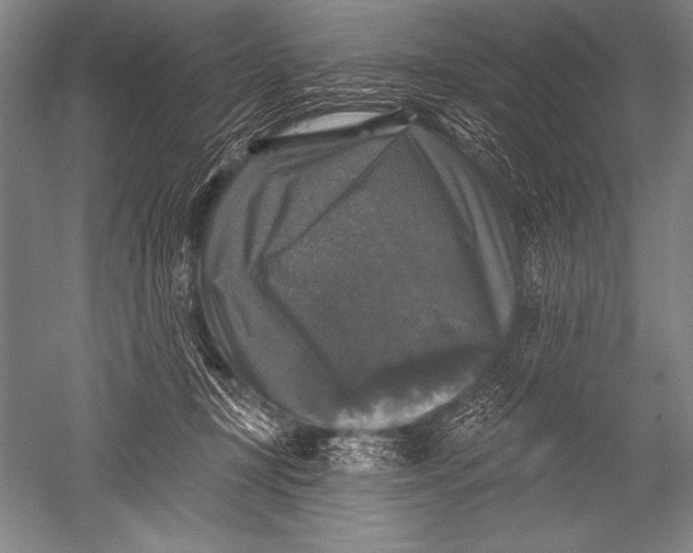 X0000051260367200507082223