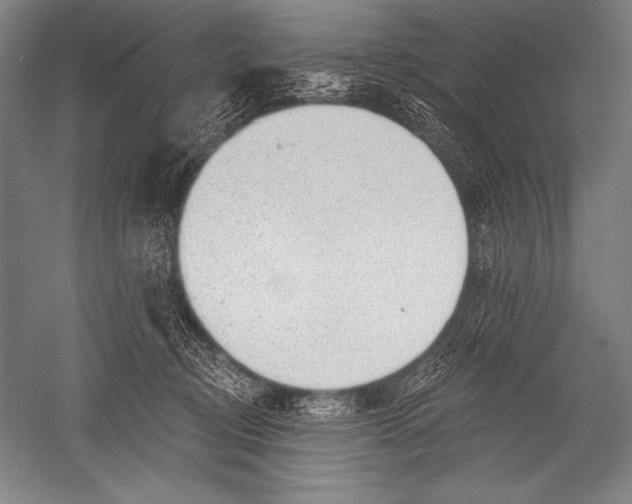 X0000051260370200507082223