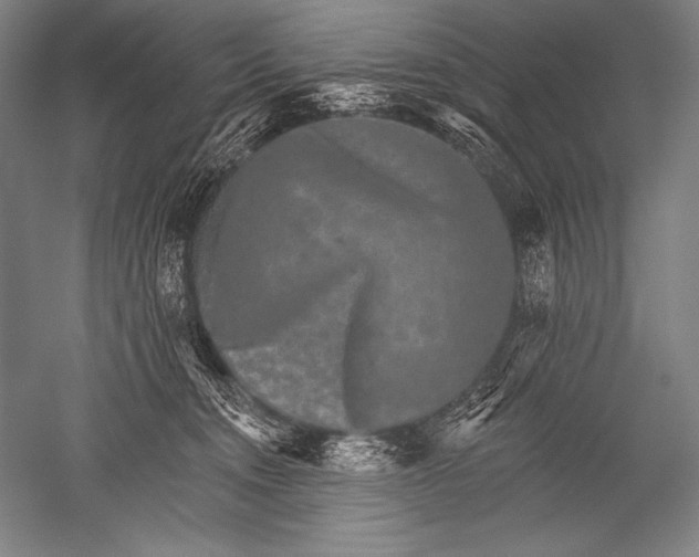 X0000051260372200507082223