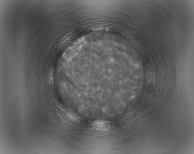 X0000051260375200507082223