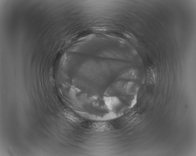 X0000051260377200507082223