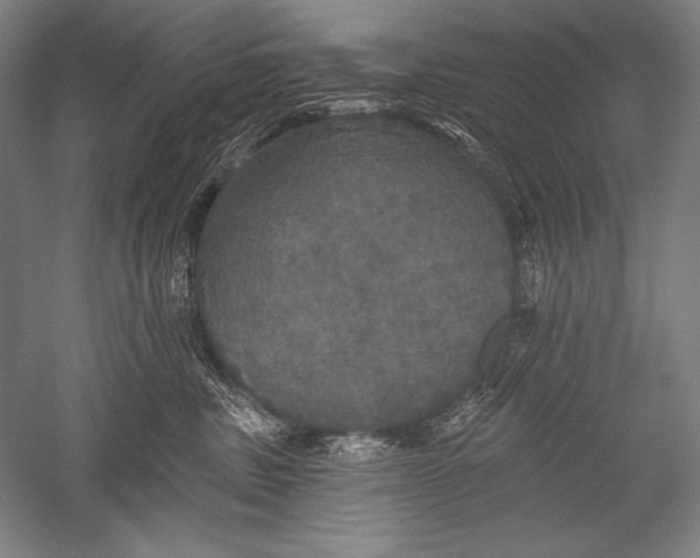 X0000051260379200507082223
