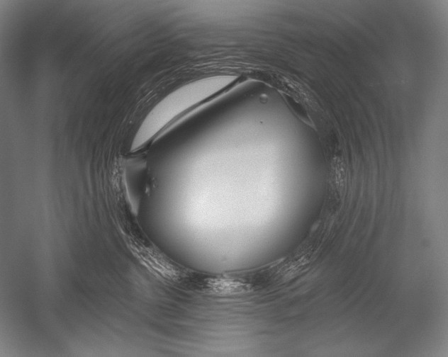 X0000051260380200507082223