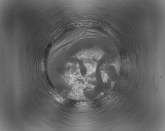 X0000051260381200507082223