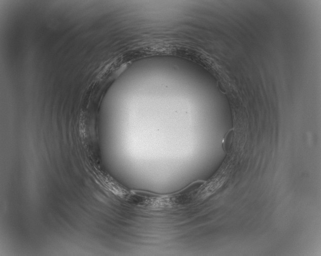 X0000051260384200507082223