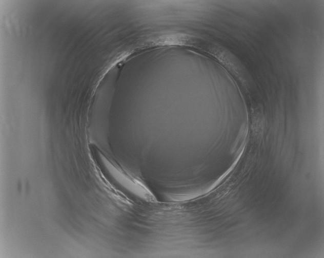 X0000051260386200507082222