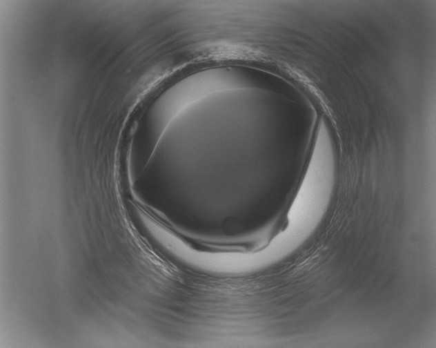 X0000051260391200507082222