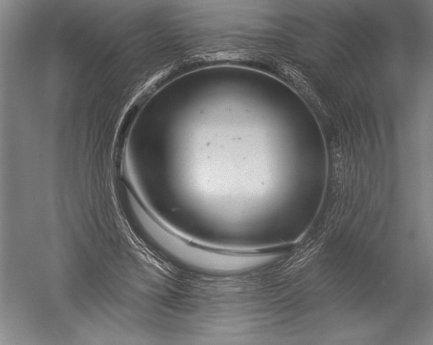 X0000051260395200507082222