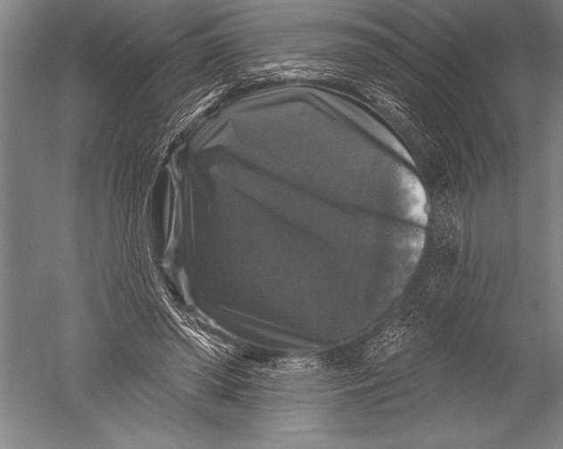 X0000051260398200507082222