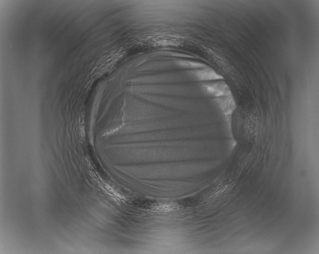 X0000051260402200507082222