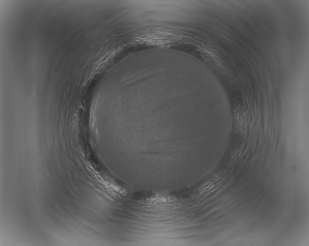 X0000051260404200507082222
